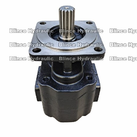 تعویض پمپ دنده هیدرولیک Blince برای PARKER P51A578BEYM25-07 تولید کننده عمده فروشی چین 